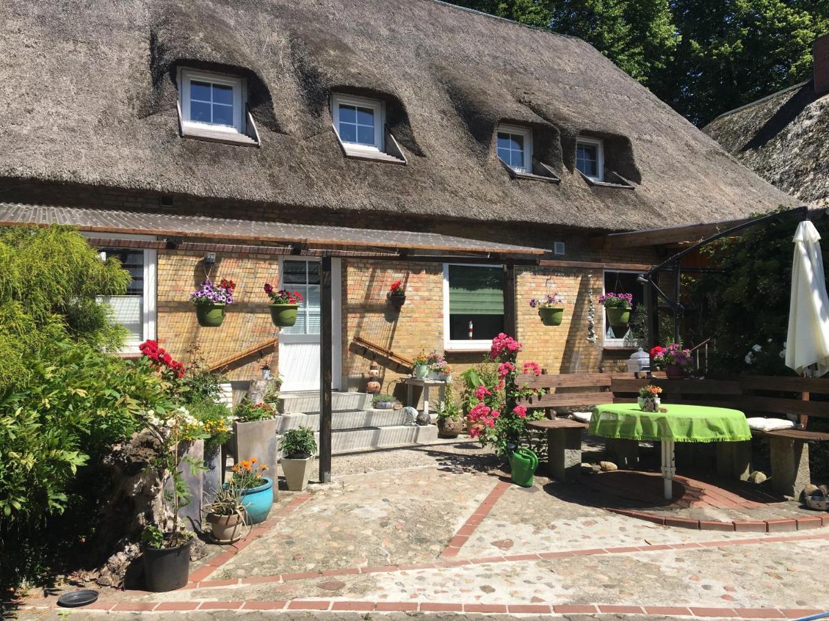 Ferienwohnung Kreatives Wohnen unter Reet ruhig und doch zentral Schwabstedt Exterior foto
